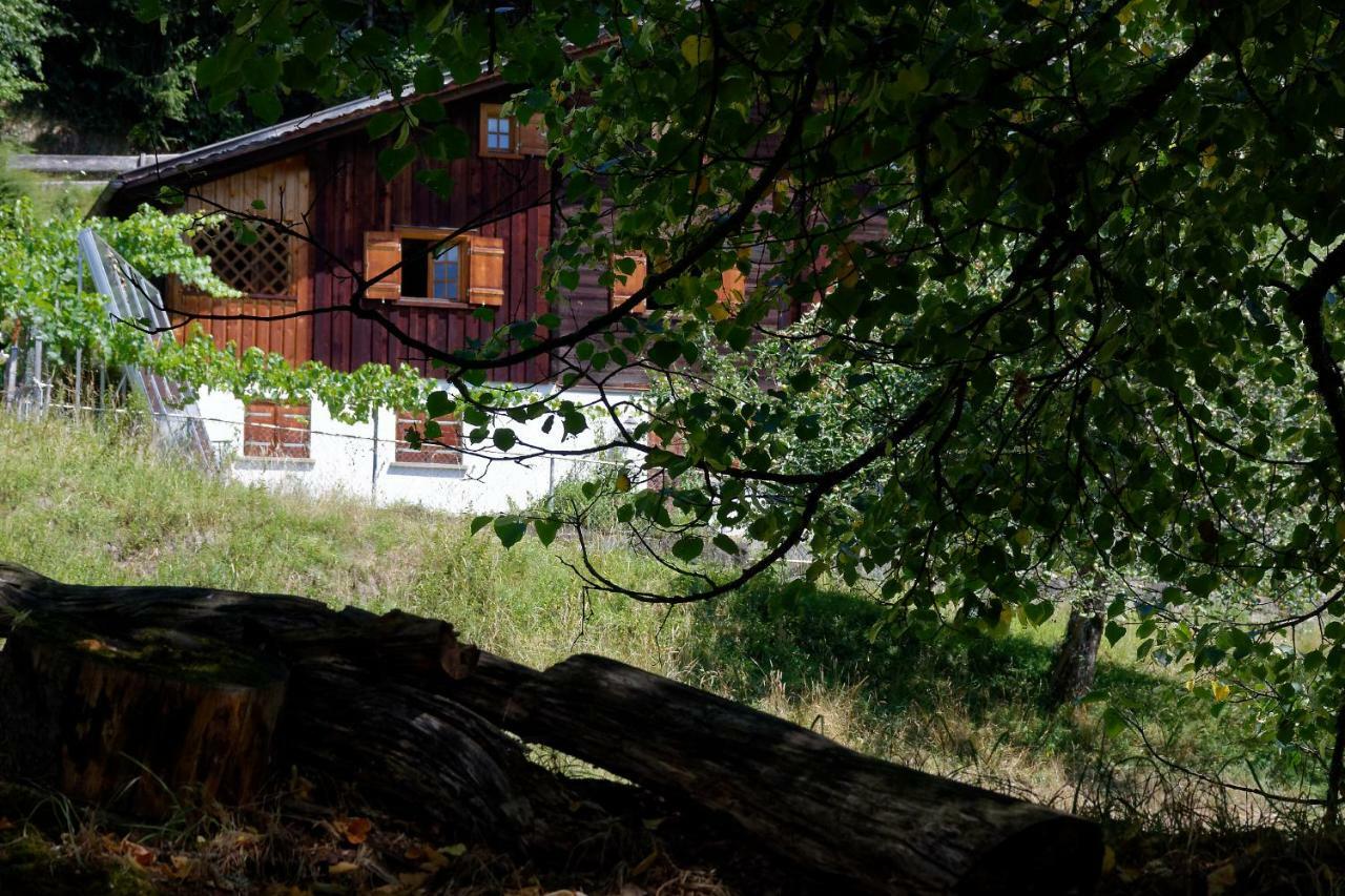 בארטהולומאברג Landhaus Tenne מראה חיצוני תמונה